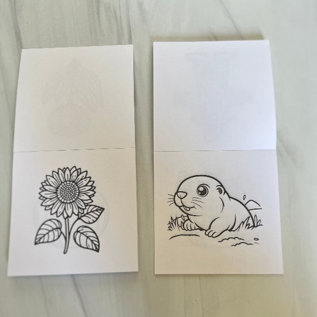 Kafei Coloring Notepads